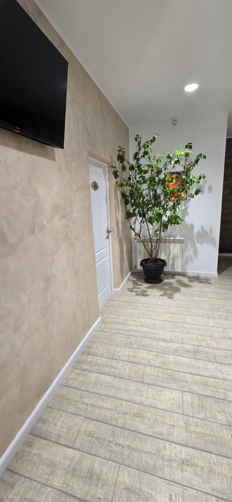Wow Cazare Cîmpineanca Exterior foto